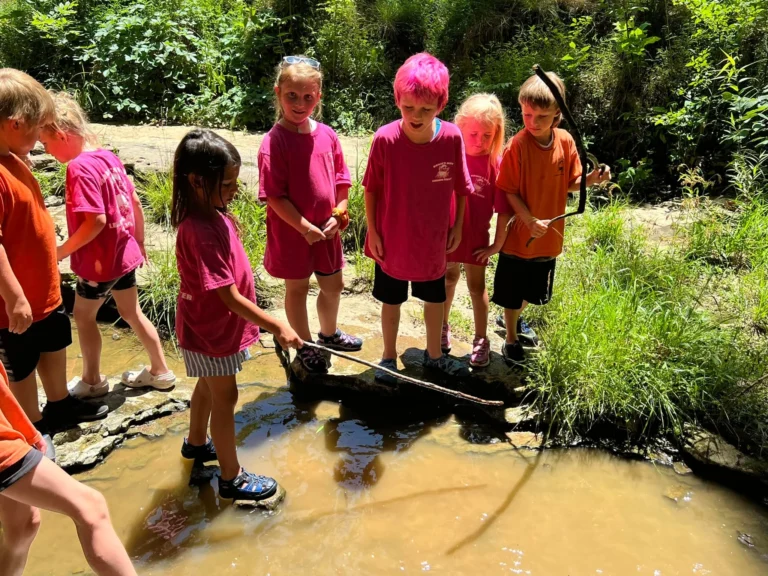 Giant city national park field trip robins nest of marion2