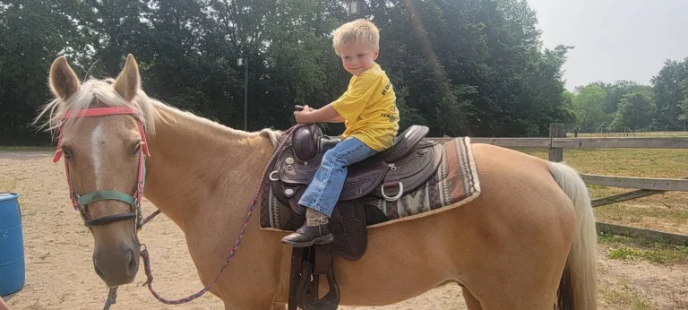 Giant city stable and horse back riding field trip robins nest of marion2